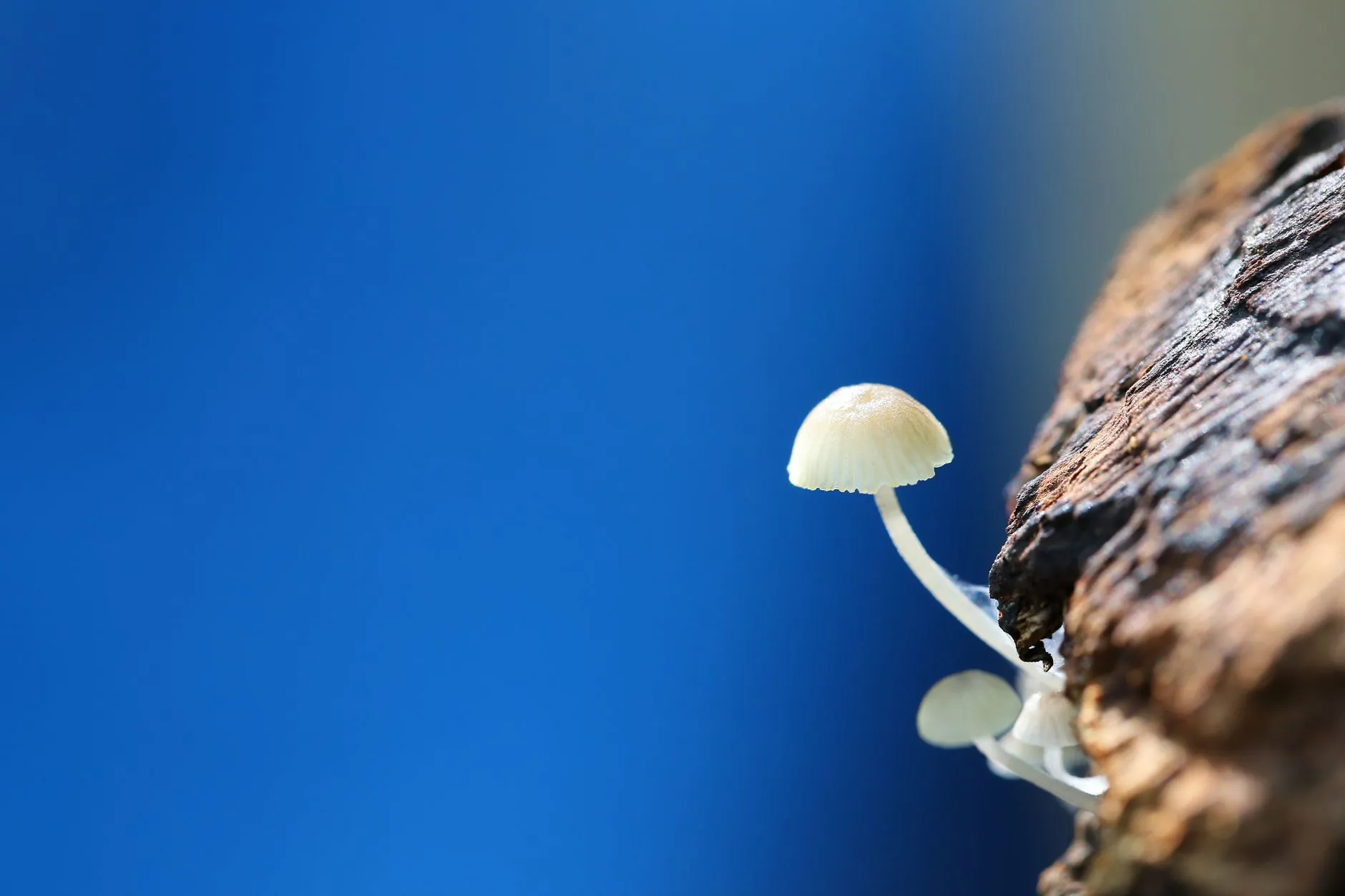 工业机械设备常见故障诊断流程与维修方案优化