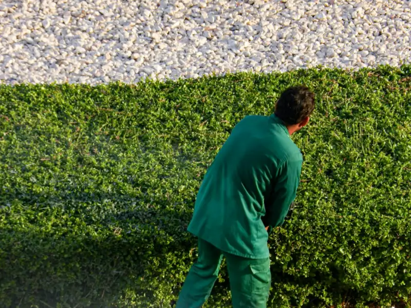机械加工与设备维护需求增长，沈阳机械设备企业迎来哪些新机遇